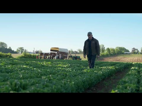 From Field to Fork with Vermeulen Farms Ltd.