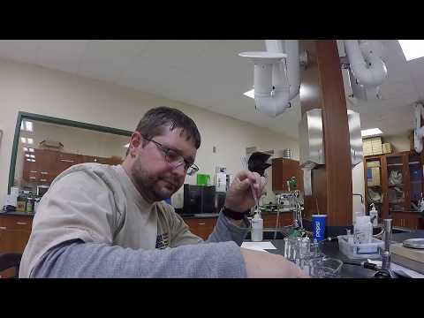 Lab 11. Fermentation and Cellular Respiration