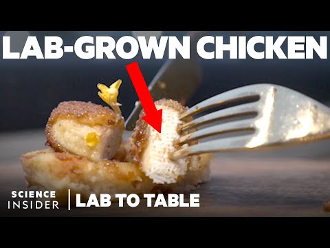 Will This Lab Grown Chicken Become the Food of the Future?