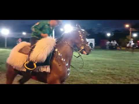 (2) Monumental Jineteada -Tacuaras - Ñeembucú - Py. Banda Revelación del Guaira