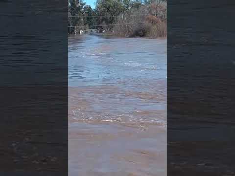 Río Carcarañá a su paso por el balneario comunal de Arequito, Santa Fe🎥 01/09/25 #inundaciones
