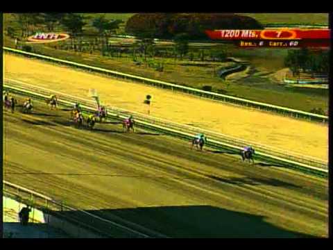 Resumen Domingo, 25 de Enero de 2015 - La Rinconada