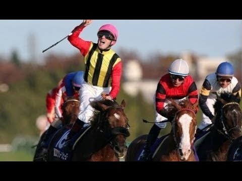 2008 Japan Cup G1 - Screen Hero (銀幕英雄) - M.Demuro