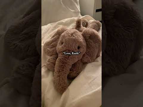 📖: keeper of the lost cities #kotlc #sokeefe #book #booksummary  #bookish  #booktok #booktubetbr