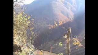 preview picture of video 'Colori d'autunno a Crana Onsernone in Svizzera il 2.11.2007, i miei video'