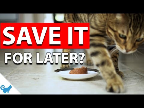 YouTube video about: Why does my cat scratch at his water bowl?