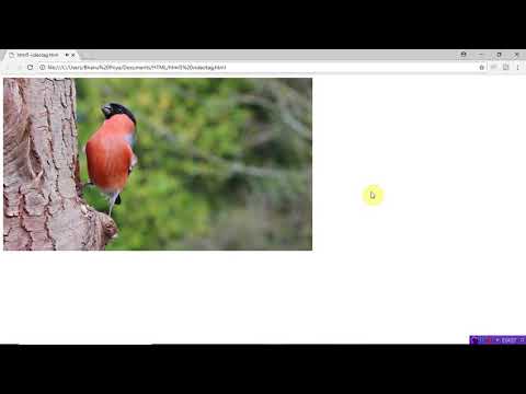 video tag in html | by bhanu priya