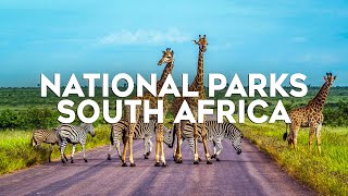 Top 10 Most Beautiful National Parks in South Africa [South Africa Travel Guide 2024]