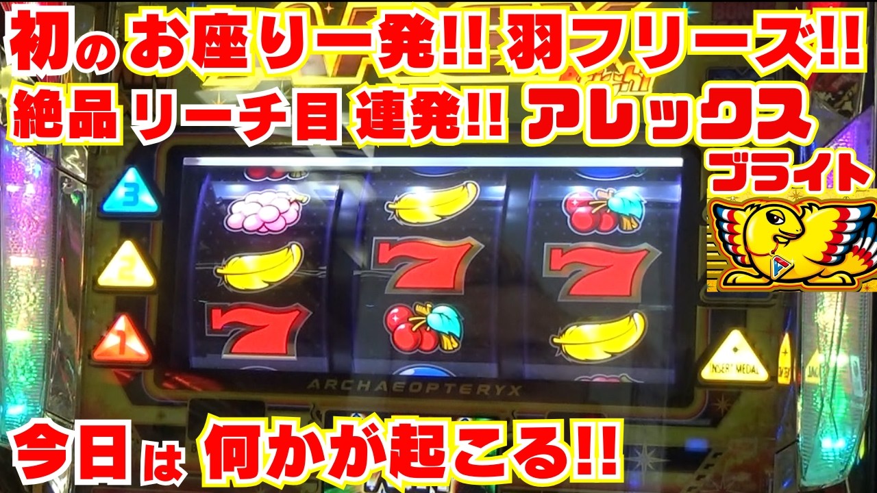 【アレックスブライト】初めての！朝イチお座り一発！からの羽フリーズ！からの『絶品リーチ目』連発！今日のアレックス様は 何かが起こる！【3月29日 デルグランド上横田店 中山馬鹿実践取材】