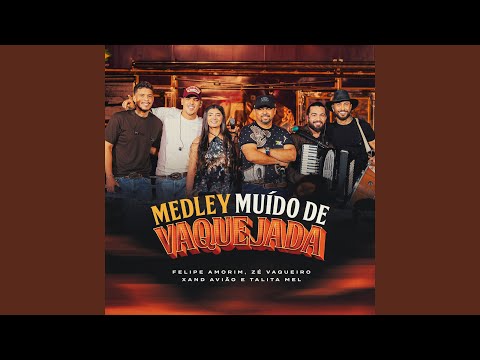 Medley Muído de Vaquejada - Desce do Cavalo / Balada do Vaqueiro / Monta Logo Vai / Calma /...
