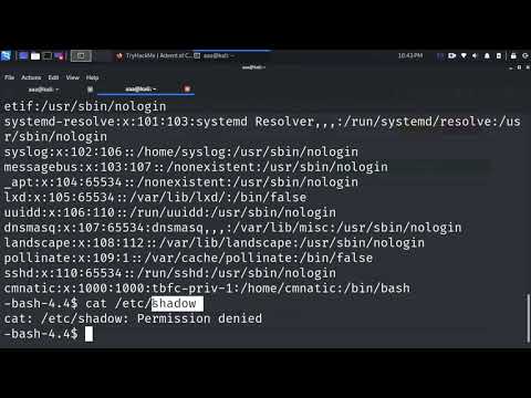tryhackme advent of cyber 2 day 11