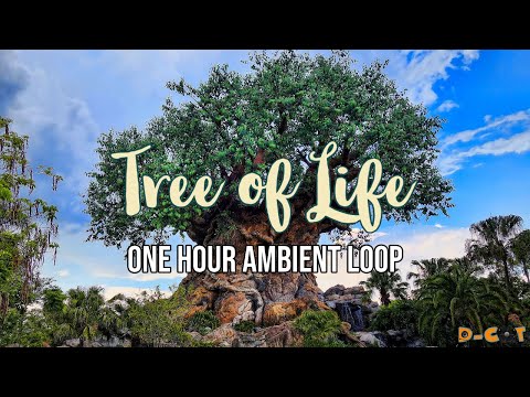 #DisneyCalm | One Hour Loop of Disney's Animal Kingdom - Discovery Island - Tree of Life