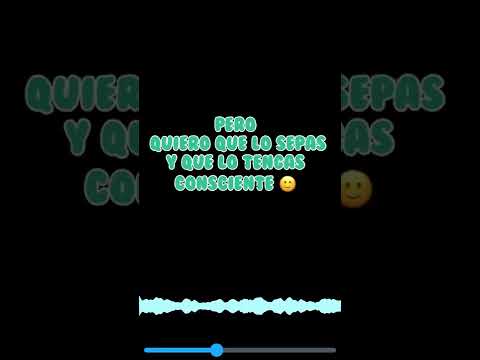 Djunior BEX_FALLING LOVE🥰_Official Video Lyric_