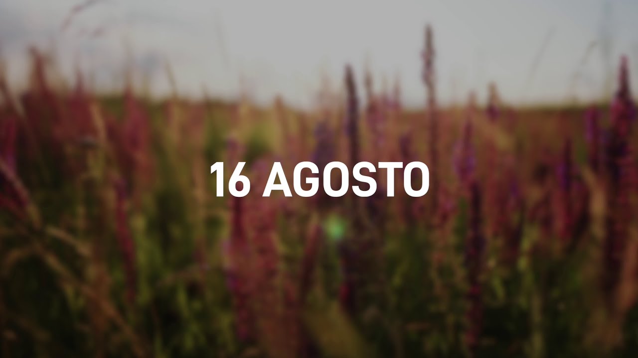 16 Agosto 2025 | Meditazione Parole di Vita