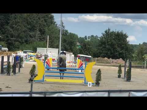 Camax L x Phantom Stute Westf. 2010