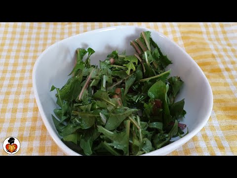 Altmodischer Salat junger Löwenzahnblätter