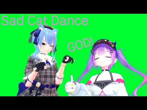 Steam Workshop::sad cat dance 澄闪