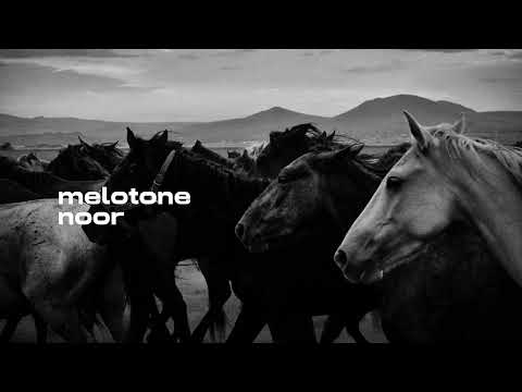 melotone  - noor