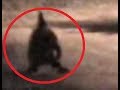 5 GNOMES caught on camera & spotted in real life