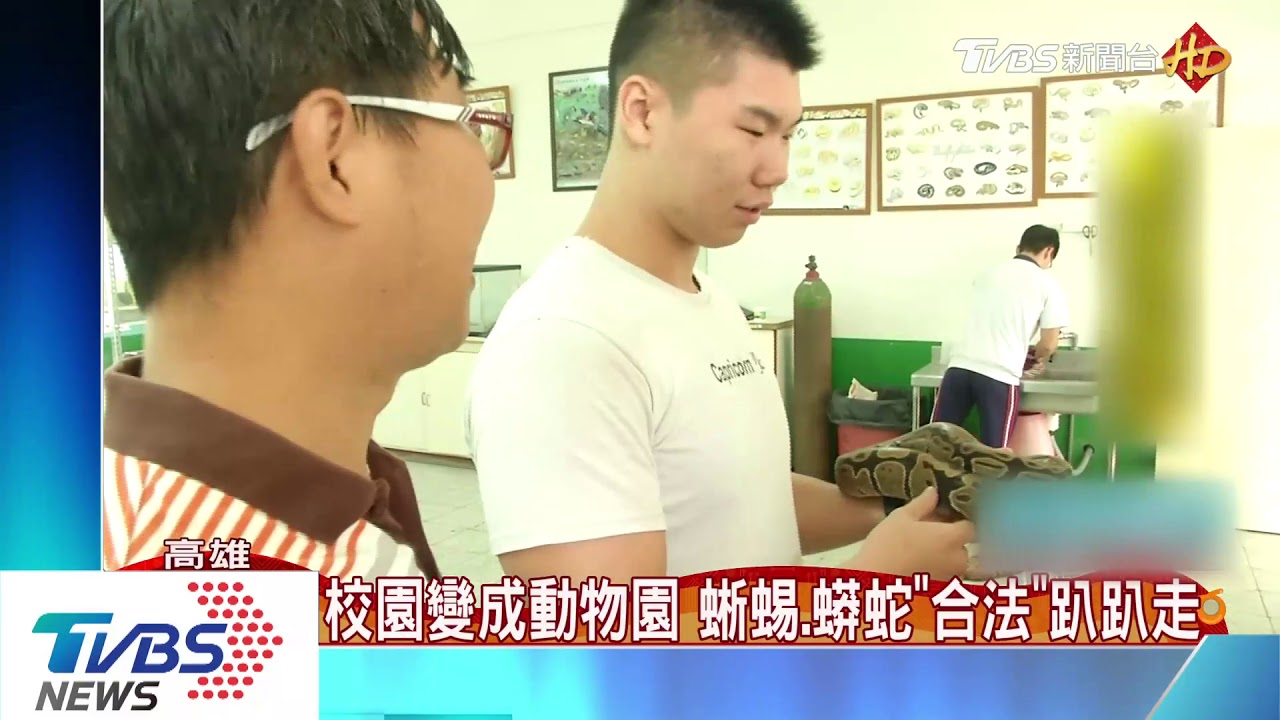唯一合法帶寵物上學 蜥蜴、蟒蛇校園趴趴走