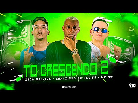 LUANZINHO DO RECIFE, ZECA MALVINA E MC GW - TO CRESCENDO 2 / NÃO PARO DE PENSAR