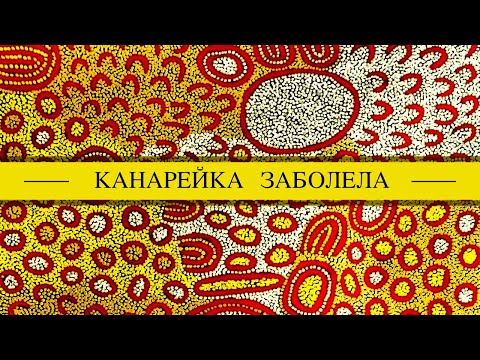 Канарейка заболела, плохо  дышит, понос, сидит на месте.  Чем помочь, как лечить?