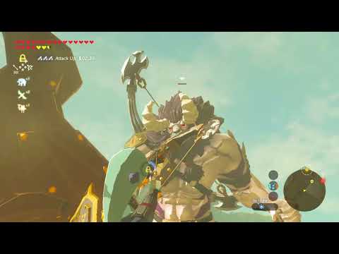 Lynel murder in 18 - 19 seconds
