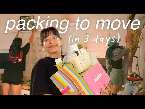 packing my entire apartment in 3 days 📦  epic chatty moving vlog