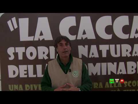 Il raccogliere di erbe da helminths Che avvelenare a galline di vermi