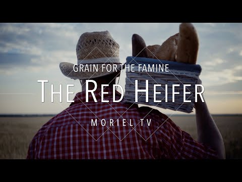 The Red Heifer - Jacob Prasch