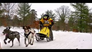 preview picture of video '2015 Kalkaska 4 Dog Pro sled dog race'