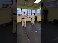 Hangetsu Seisan Bunkai