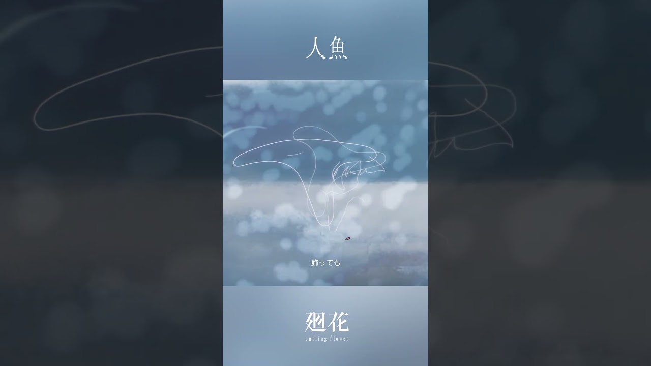 叫んでも 飾っても 縋っても むなしいんだっけな #廻花 「人魚」 #KAIKA #shors