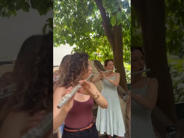 youtube play