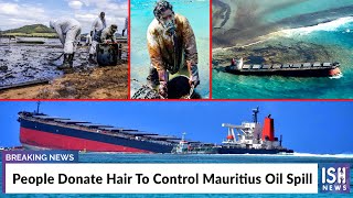 People Donate Hair To Control Mauritius Oil Spill