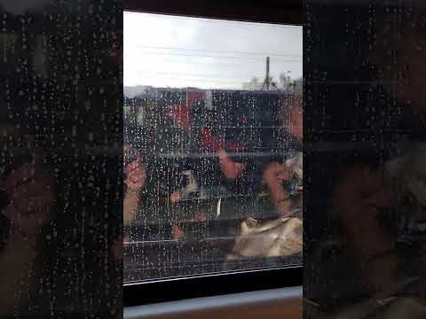 Odcinek Zawiercie-Łazy.