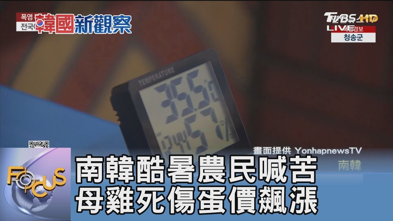 南韓酷暑農民喊苦 母雞死傷蛋價飆漲