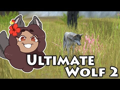 The Search for Wild Wolves!! Ultimate Wolf 2 - YouTube