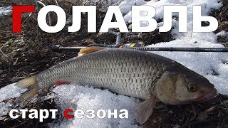 Весенняя ловля голавля на спиннинг