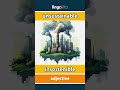 unsustainable - insostenible video thumbnail
