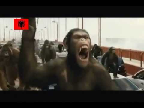 Albanians rebels against their Zionist masters - In memory of Albania father Mehmet Ali Pasha