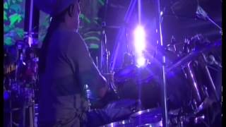 "Wild and Free" - Ziggy Marley | Live at Rototom in Benicassim, Spain (2011)