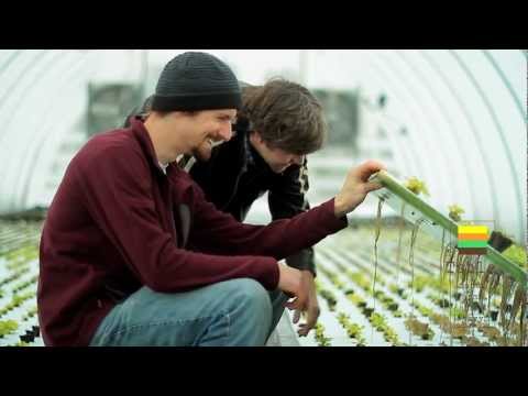 Introducing Kyle Cross & Table