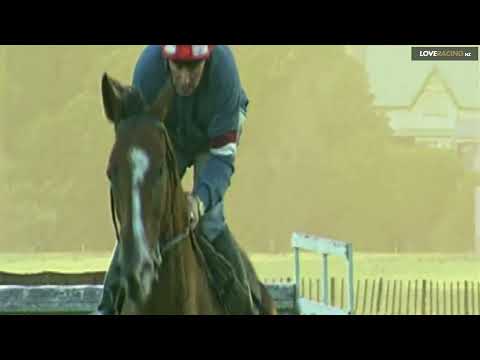 New Zealand Racing Legends - Rough Habit