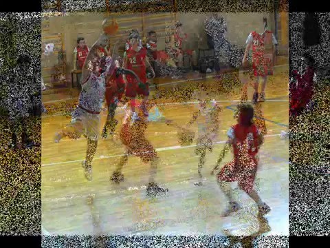 CAMPIONI PROVINCIALI ESORDIENTI 2007-08