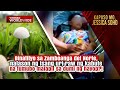 Binatilyo Nalason Matapos Kumain Ng Isang Klase Ng Kabute Kapuso Mo Jessica Soho