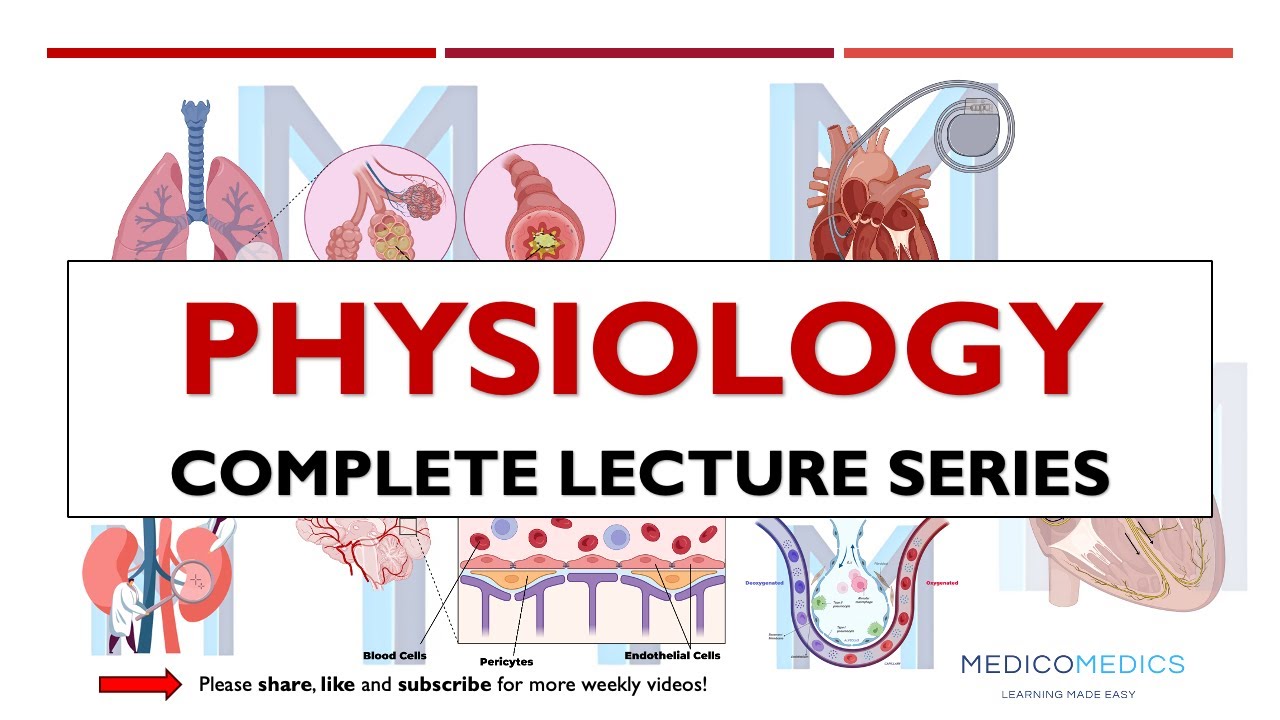 Physiology Chapter 1 | Introduction to Physiology & Homeostasis Explained