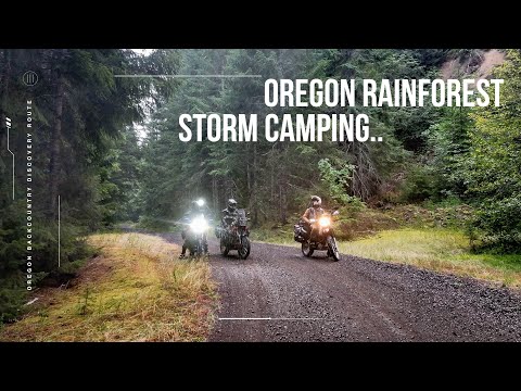 Motorcycle Camping In a STORM in North Oregon's Temperate RAINFOREST | WA-OR BDR [E-4]