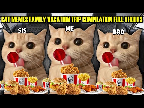 CAT MEMES FAMILY VACATION TRIP COMPILATION FULL 1 HOURS