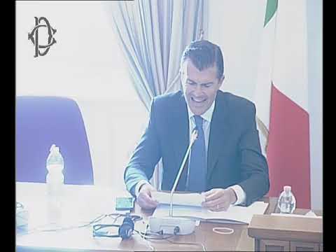 Roma - Interrogazioni a risposta immediata - Ministero affari esteri ... (07.05.25)